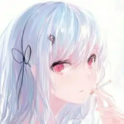 用户 第十七个夏天 的头像